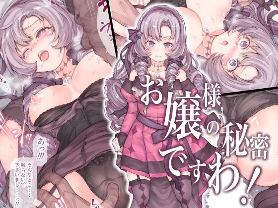 お嬢様の秘密ですわ! の表紙