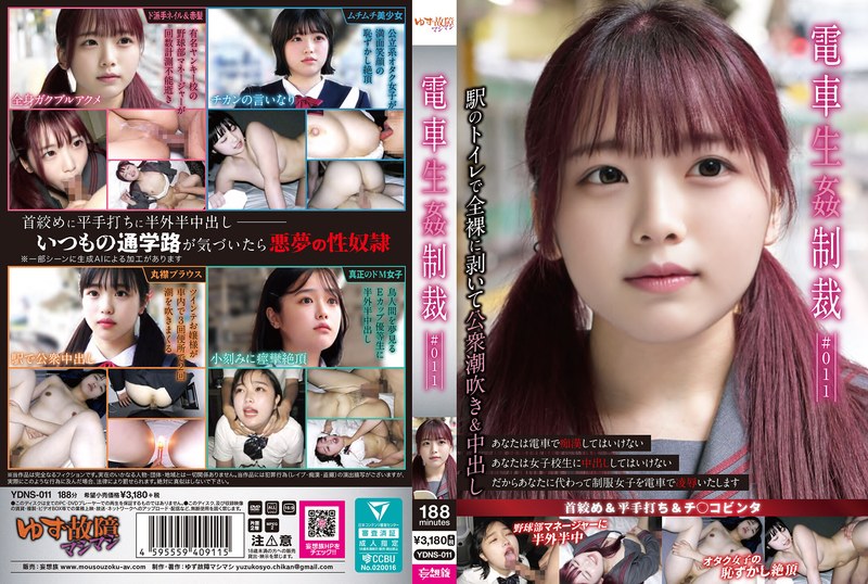 電車生姦制裁 ＃011 の商品画像